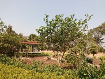 RANCHO, HACIENDA, VENTA, YECAPIXTLA, MORELOS