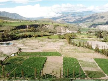 Venta de terreno en Imbaya, canton Antonio Ante, provincia Imbabura