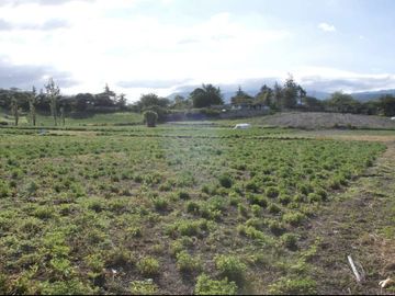 Venta de terreno en Imbaya, canton Antonio Ante, provincia Imbabura