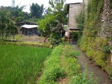 141 Tumbak Sawah Cocok untuk Kolam Renang, Cipulus, Ngamprah, Bandung Barat