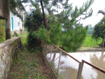 141 Tumbak Sawah Cocok untuk Kolam Renang, Cipulus, Ngamprah, Bandung Barat