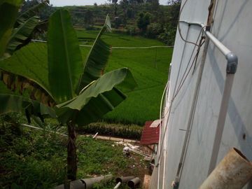 141 Tumbak Sawah Cocok untuk Kolam Renang, Cipulus, Ngamprah, Bandung Barat