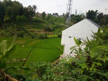 141 Tumbak Sawah Cocok untuk Kolam Renang, Cipulus, Ngamprah, Bandung Barat