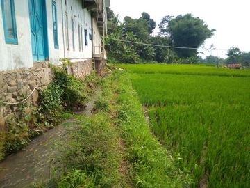 141 Tumbak Sawah Cocok untuk Kolam Renang, Cipulus, Ngamprah, Bandung Barat