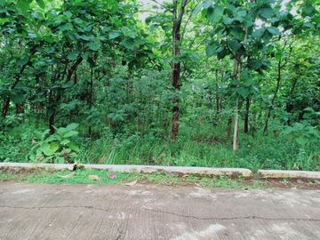 Dijual Tanah Kebun Jati Kerjo Karanganyar