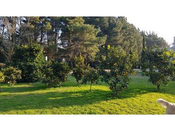 Residencia Barrio Parque en Dolores