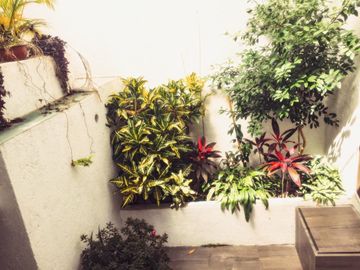 Casa en Fraccionamiento en Burgos, Temixco, Morelos /CAEN-594-Fr