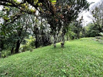 Se Vende Hermoso Terreno en Zona Alta de Altos del Maria