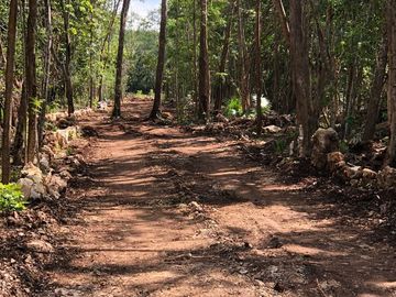 Terrenos en Venta en ruta de los Cenotes. Puerto Morelos, Quintana Roo.