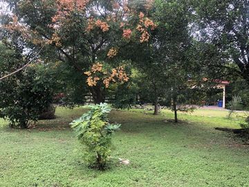 SE VENDE QUINTA EN Montemorelos, Nuevo León, MEX
