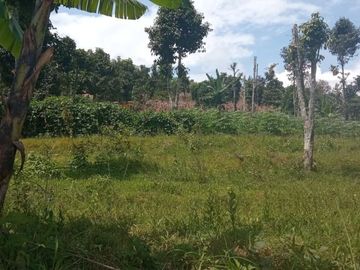 Tanah Bandung, SHM, dekat stasiun Nagreg, selatan Alun alun Cicalengka
