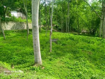 Tanah karangpandan 830m 330jt dekat wisata sapta tirta