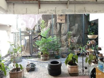 Rumah Mewah Siap Huni Kawasan Manyar Kertoarjo Shm