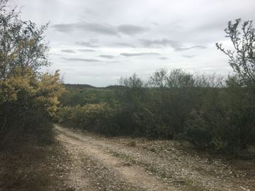 Rancho en Los Ramones, N.L.  en Venta de 731ha  $35,000/ha Negociable