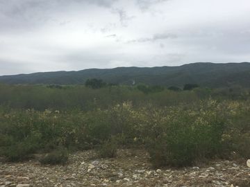 Rancho en Los Ramones, N.L.  en Venta de 731ha  $35,000/ha Negociable