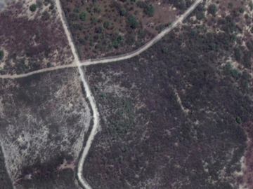 Rancho en Los Ramones, N.L.  en Venta de 731ha  $35,000/ha Negociable