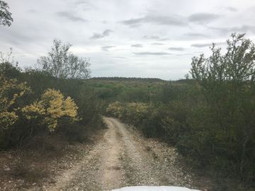Rancho en Los Ramones, N.L.  en Venta de 731ha  $35,000/ha Negociable