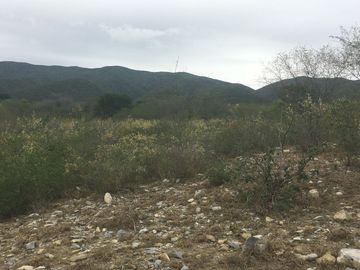 Rancho en Los Ramones, N.L.  en Venta de 731ha  $35,000/ha Negociable