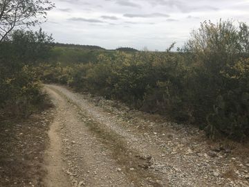 Rancho en Los Ramones, N.L.  en Venta de 731ha  $35,000/ha Negociable