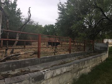 Rancho en Los Ramones, N.L.  en Venta de 731ha  $35,000/ha Negociable