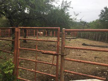 Rancho en Los Ramones, N.L.  en Venta de 731ha  $35,000/ha Negociable