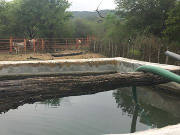 Rancho en Los Ramones, N.L.  en Venta de 731ha  $35,000/ha Negociable