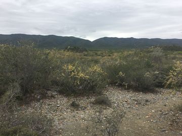 Rancho en Los Ramones, N.L.  en Venta de 731ha  $35,000/ha Negociable