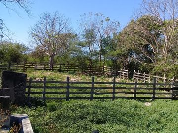 ¡OPORTUNIDAD DE VENTA.¡ RANCHO GANADERO, CHEMAX, YUCATAN; TIENE 2 CENOTES