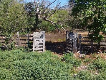 ¡OPORTUNIDAD DE VENTA.¡ RANCHO GANADERO, CHEMAX, YUCATAN; TIENE 2 CENOTES