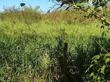 ¡OPORTUNIDAD DE VENTA.¡ RANCHO GANADERO, CHEMAX, YUCATAN; TIENE 2 CENOTES
