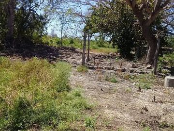 ¡OPORTUNIDAD DE VENTA.¡ RANCHO GANADERO, CHEMAX, YUCATAN; TIENE 2 CENOTES