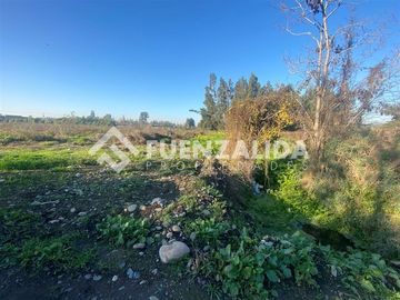 PARCELA EN VENTA ISLA DE MAIPO 3 HA CERT. ORGÁNICA MAQUIS