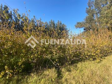 PARCELA EN VENTA ISLA DE MAIPO 3 HA CERT. ORGÁNICA MAQUIS