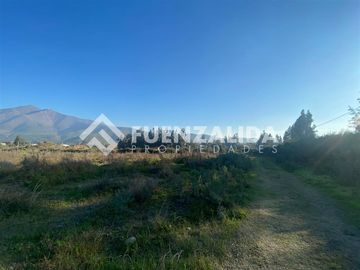 PARCELA EN VENTA ISLA DE MAIPO 3 HA CERT. ORGÁNICA MAQUIS