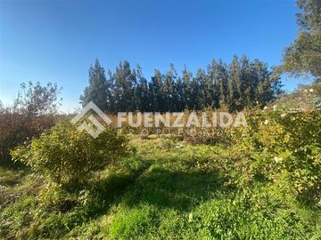 PARCELA EN VENTA ISLA DE MAIPO 3 HA CERT. ORGÁNICA MAQUIS