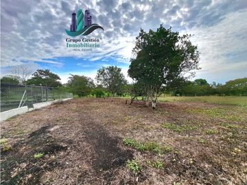 VENDO PROPIEDAD DE 10,400M2 PALMIRA DEL BANCO