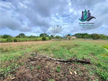 VENDO PROPIEDAD DE 10,400M2 PALMIRA DEL BANCO