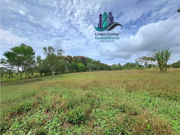 VENDO PROPIEDAD DE 10,400M2 PALMIRA DEL BANCO