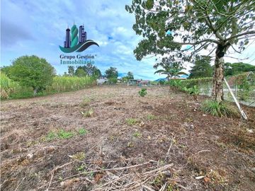 VENDO PROPIEDAD DE 10,400M2 PALMIRA DEL BANCO