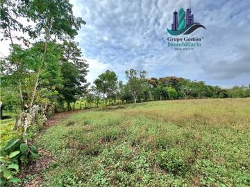 VENDO PROPIEDAD DE 10,400M2 PALMIRA DEL BANCO