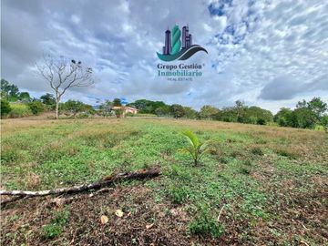 VENDO PROPIEDAD DE 10,400M2 PALMIRA DEL BANCO