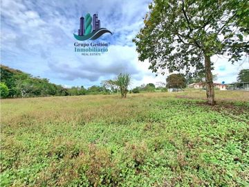 VENDO PROPIEDAD DE 10,400M2 PALMIRA DEL BANCO