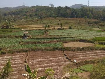 Jual Cepat Tanah Murah 16 Ha Di Cangkuang Kota Bandung