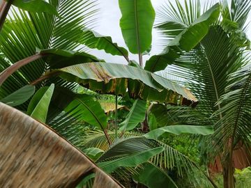 Se Vende Casa Cerca del Mar en Montañita