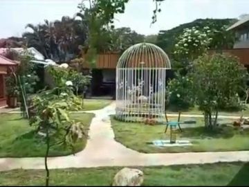 *Jual Rumah Usaha EX. Resto Dekat Kebun Raya Purwodadi Lokasi Sangat Strategis _ Dekat exit Tol SBY-MLG