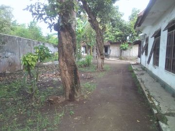 DIJUAL RUMAH TUA TEPI JALAN WARUNG DOWO PASURUAN