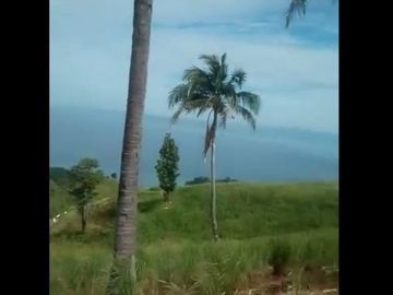Dijual Tanah Murah 500 Hektar Di Ciemas Sukabumi