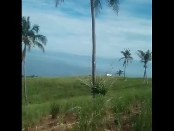 Dijual Tanah Murah 500 Hektar Di Ciemas Sukabumi