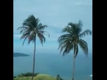 Dijual Tanah Murah 500 Hektar Di Ciemas Sukabumi