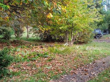 Parcela en Venta en lago ranco/ sector Ignao